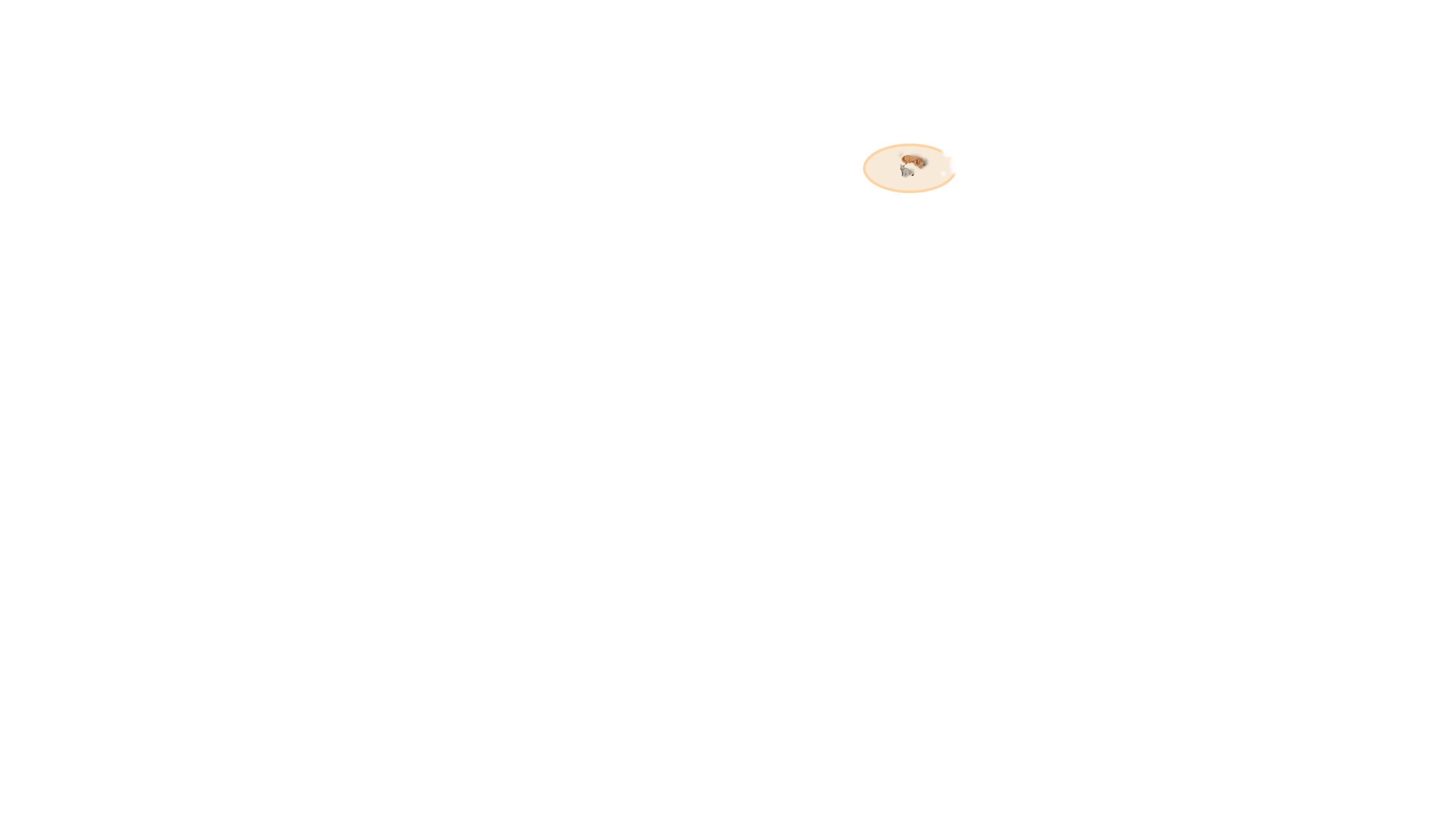 Layered Image